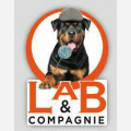 Lab & Compagnie